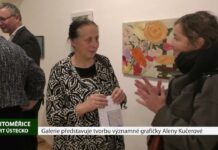 LITOMĚŘICE: Galerie představuje tvorbu významné grafičky Aleny Kučerové