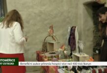 LITOMĚŘICE: Benefiční aukce přinesla hospici více než 400 tisíc korun