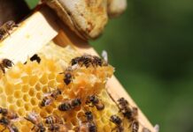 Roudnická galerie slavnostně představí novou venkovní expozici