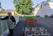 SeniorCentrum SeneCura v Terezíně pro klientku vybudovalo zahrádku