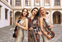 Dvořákův festival do Roudnice nad Labem přiveze elektrické smyčce