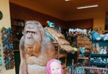 I návštěva zoologické zahrady může být pro seniora splněným přáním!