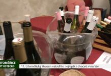 LITOMĚŘICE: 11. Litoměřický Hrozen nabídl to nejlepší z dvaceti vinařství