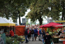 Začal zvýhodněný předprodej vstupenek na podzimní Zahradu Čech