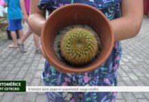 LITOMĚŘICE: V letním kině poprvé uspořádali swap rostlin
