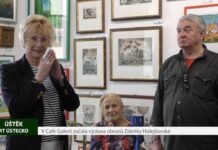 ÚŠTĚK: V Café Galerii začala výstava obrazů Zdeňky Holejšovské