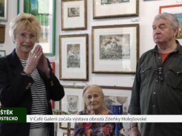 ÚŠTĚK: V Café Galerii začala výstava obrazů Zdeňky Holejšovské