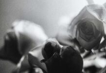 LITOMĚŘICE: Rodina zesnulého děkuje personálu nemocnice za příkladnou péči