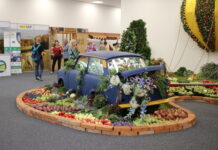 FOTOGALERIE: Střípky ze 47. ročníku Zahrady Čech