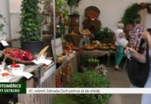 LITOMĚŘICE: 47. veletrh Zahrada Čech potrvá až do středy