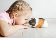 DDM Rozmarýn pořádá v neděli ”Den zvířat”