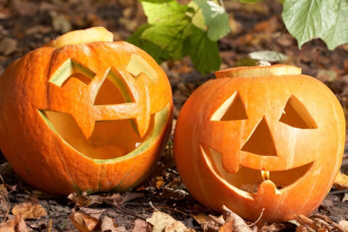 0780f2df-221c-47f3-86b2-89355afa7047