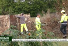 ČÍŽKOVICE: Dobrovolníci z Holcimu pomáhali na zahradě Domova Na Svobodě