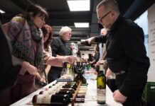 Užijte si v sobotu Otevřené vinné sklepy na Podřipsku!