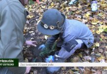 TŘEBUŠÍN: Žáci Svobodné ZŠ sázeli jedle