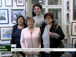 ÚŠTĚK: V Galerii Úštěk začala výstava Vlasty Kahovcové