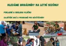 Zoo Ústí nad Labem shání brigádníky