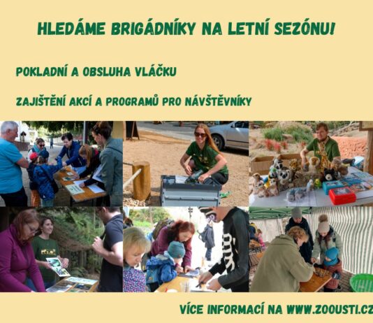 Zoo Ústí nad Labem shání brigádníky