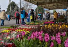 Začal předprodej vstupenek na Tržnici Zahrady Čech
