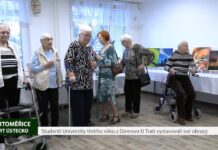 LITOMĚŘICE: Studenti Univerzity třetího věku z Domova U Trati vystavovali své obrazy