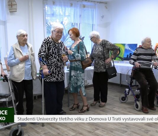 LITOMĚŘICE: Studenti Univerzity třetího věku z Domova U Trati vystavovali své obrazy