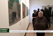 LITOMĚŘICE: V Severočeské galerii začala výstava Dagmar Filípkové