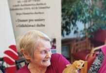 Ježíškova vnoučata k seniorům přivezla malou Zoo