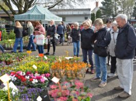 Tržnice Zahrady Čech přilákala téměř dvacet šest tisíc návštěvníků