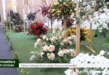 LITOMĚŘICE: Tržnice Zahrady Čech začala. Potrvá až do neděle