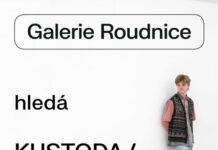 Volná místa: Roudnická galerie hledá kustoda/kustodku