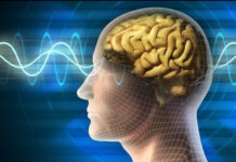 Světový den boje proti mrtvici připomene i litoměřická nemocnice