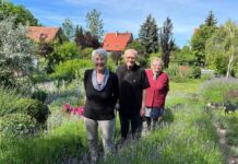 Klienti Domova sv. Zdislavy navštívili levandulovou zahradu