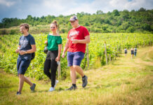 Putování za víny je tady. Vínomilci se s vinaři potkají na vinicích