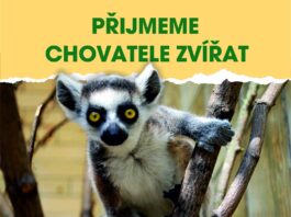 Volná místa: Chovatel zvířat v Zoo Ústí nad Labem