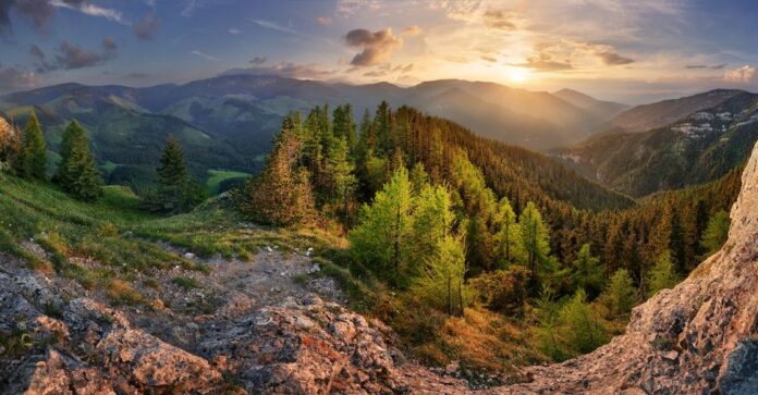 Low Tatra mountain summer landscape. meadow with huge stones among the grass.