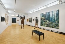 Litoměřická galerie má o prázdninách co nabídnout