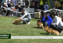 LITOMĚŘICE: O Mezinárodní výstavu psů na Zahradě Čech byl mezi kynology obrovský zájem