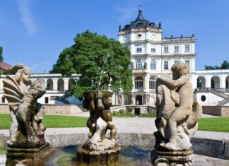 Filmový večer s nádechem Francie nabídne i víno, míchané drinky a speciality