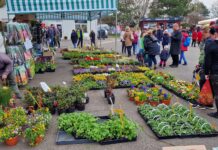 Na podzimní Zahradu Čech Vás ZDARMA odveze autobus!