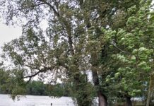 Fotogalerie: Aktuální obrázky z Lovosic – 15.9. 2024