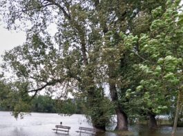 Fotogalerie: Aktuální obrázky z Lovosic – 15.9. 2024