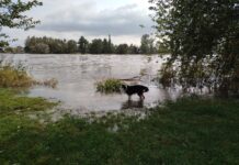 Fotogalerie: Litoměřice, 16. 9. 2024