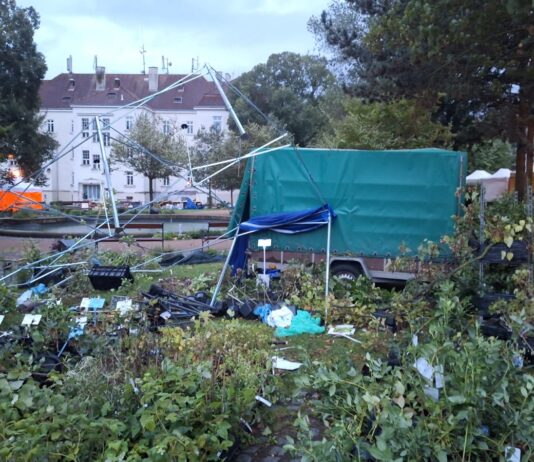 Veletrh Zahrada Čech se ruší