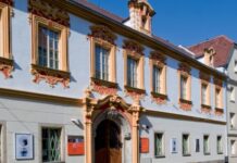 Navštivte Severočeskou galerii výtvarného umění ZDARMA!