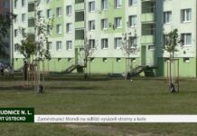 ROUDNICE N. L.: Zaměstnanci Mondi na sídlišti vysázeli stromy a keře
