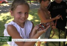 LITOMĚŘICE: DDM Rozmarýn představil své kroužky