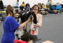 Zahrada Čech v sobotu opět hostí Krajskou výstavu psů
