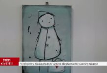 ŠTĚTÍ: V Infocentru začala prodejní výstava obrazů malířky Gabriely Nogové