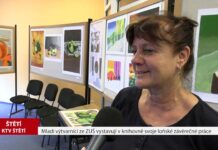 ŠTĚTÍ: Mladí výtvarníci ze ZUŠ vystavují v knihovně svoje loňské závěrečné práce