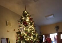 V Domově na Dómském pahorku vánoční strom už svítí